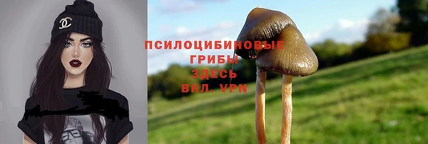 бошки Верея