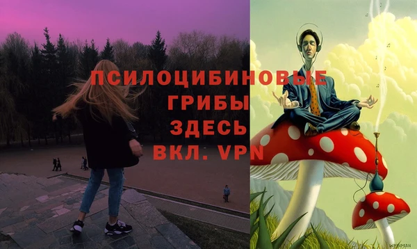 гидра Бугульма