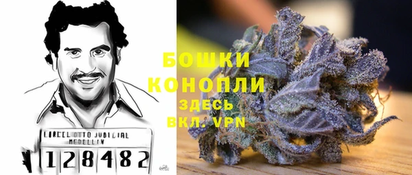 прущая мука Бородино