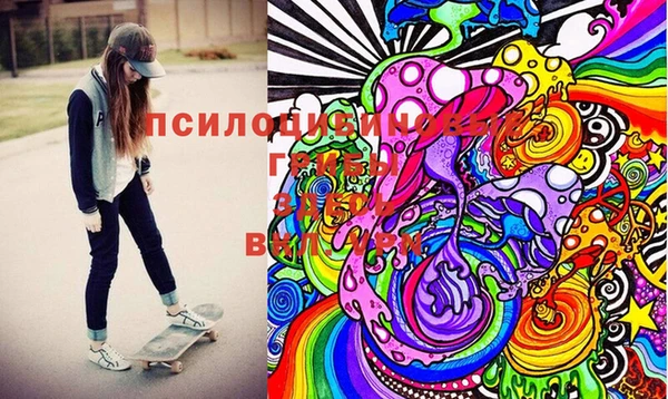 гидра Бугульма